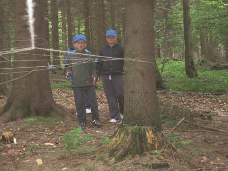 4PvP1B.1C.ctvr (127)